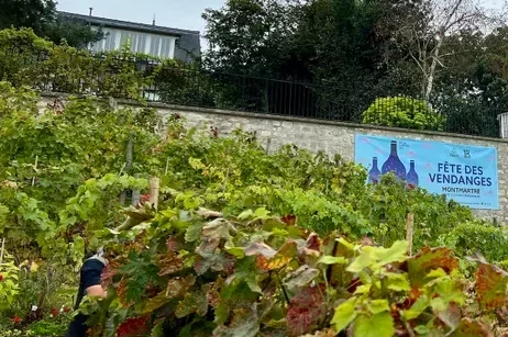 Fête des vendanges